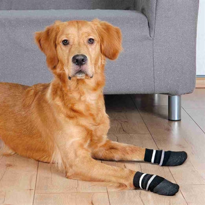 Trixie Hundesocken Anti-Rutsch Mit Gummibeschichtung Rundum Schwarz