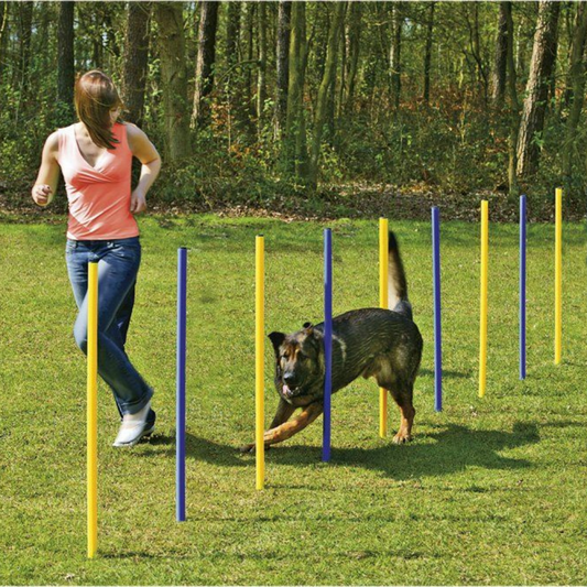 Topmast Agility Slalom – Set mit 6 Stangen