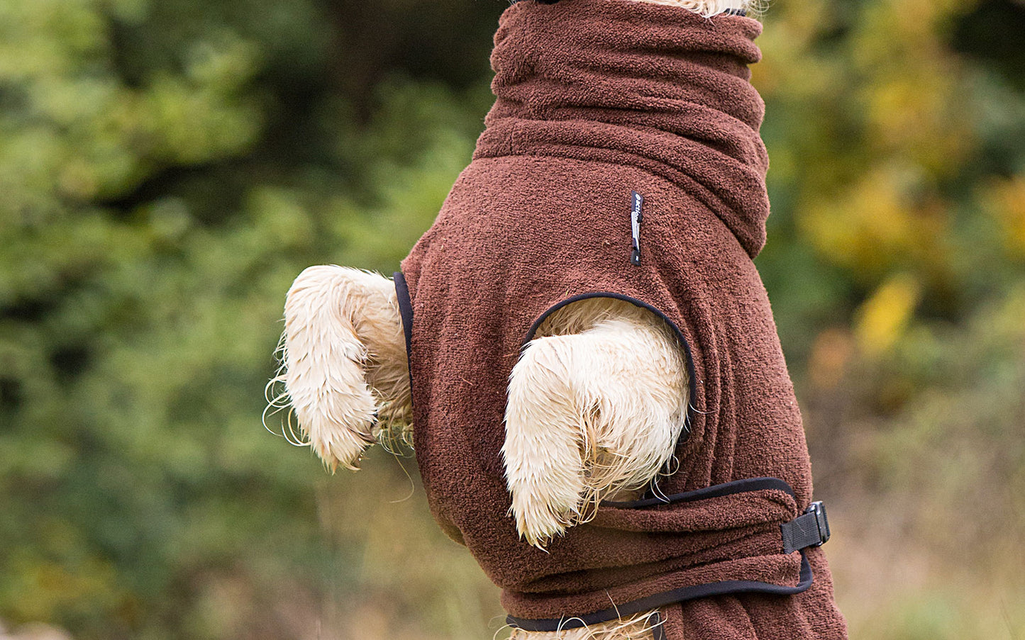 Standard Dryup Cape brown