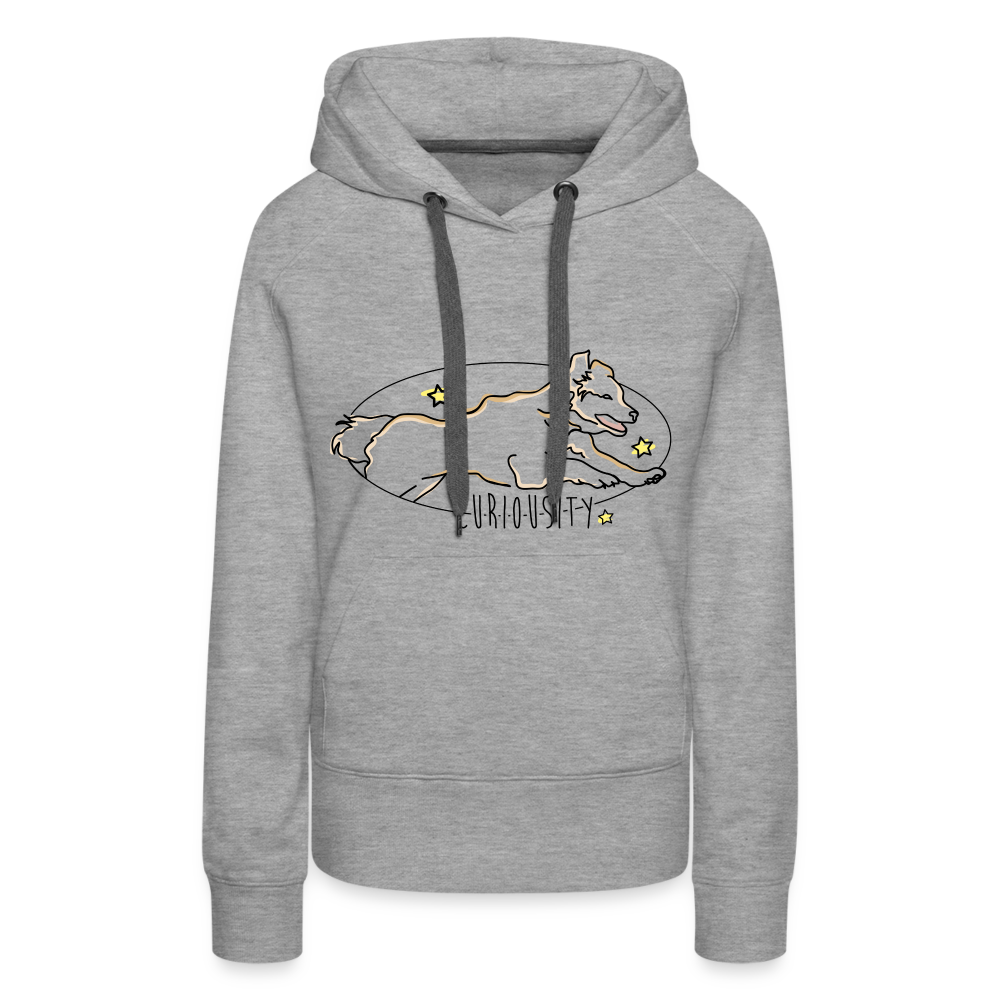 Frauen Premium Hoodie - Grau meliert