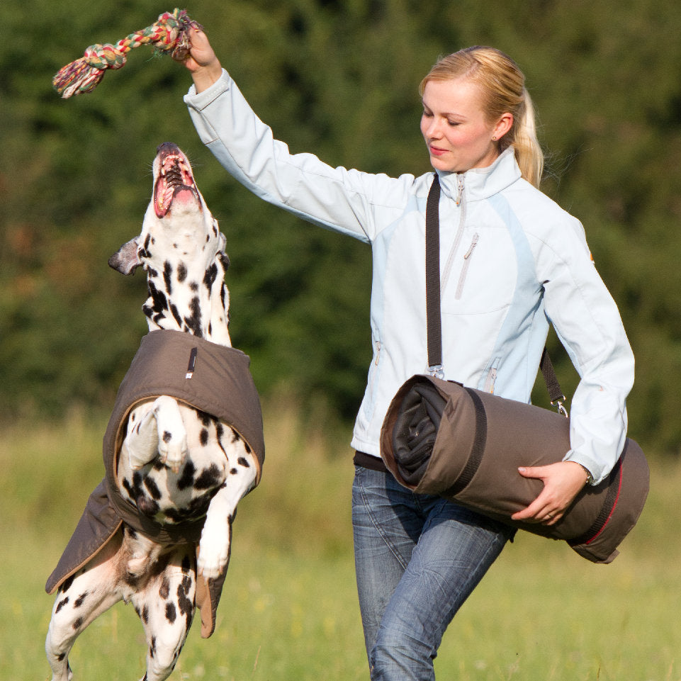 Warmup blanket „Big“ ins:brown outs:black