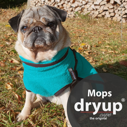 dryup-cape-mops-petrol