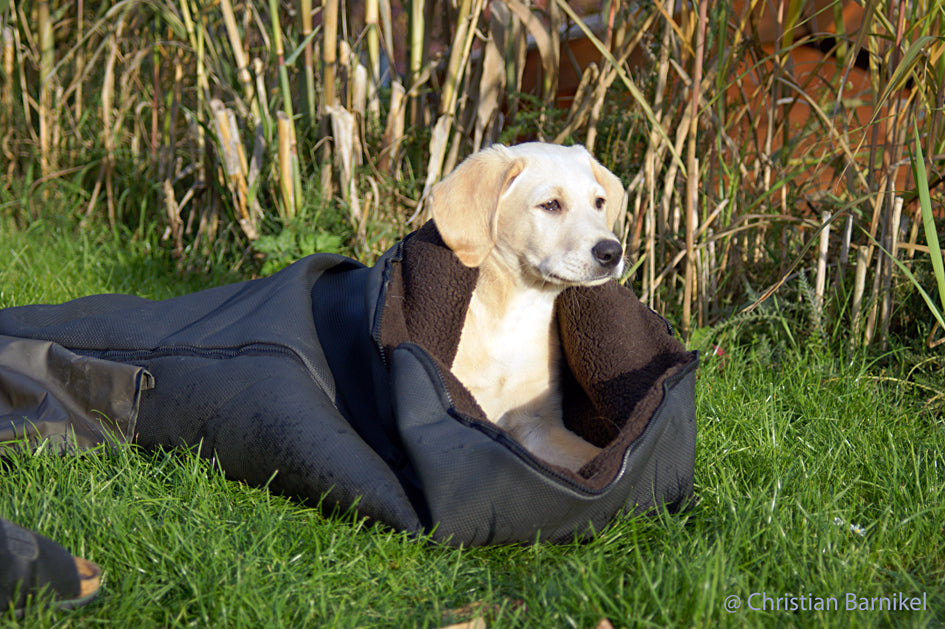 Warmup blanket „Big“ ins:brown outs:black