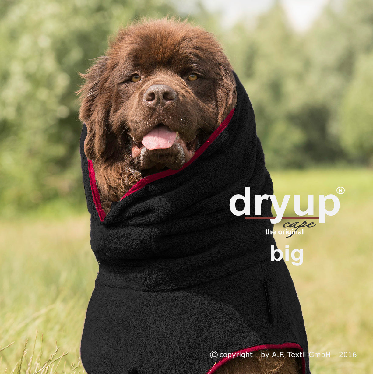 BIG Dryup Cape black