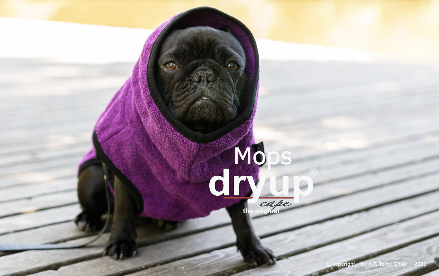 Mops Dryup Cape bilberry