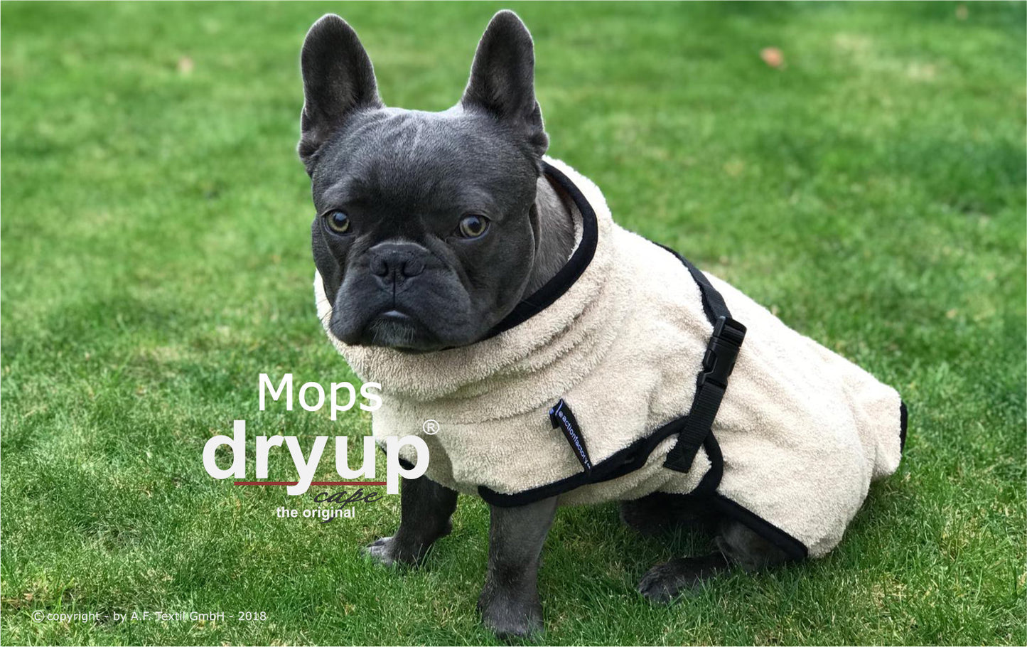 Mops Dryup Cape sand