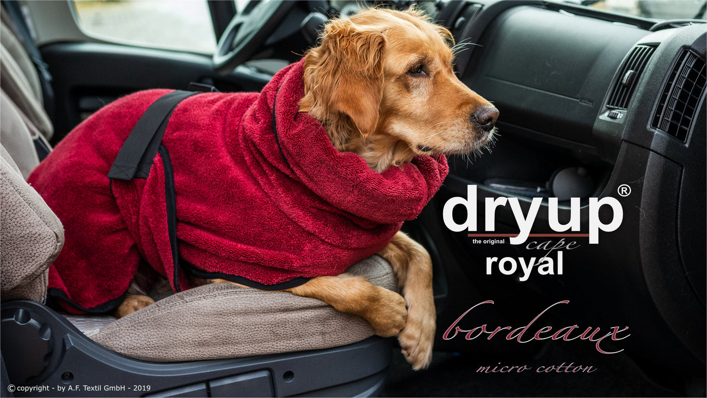 Royal Dryup Cape bordeaux