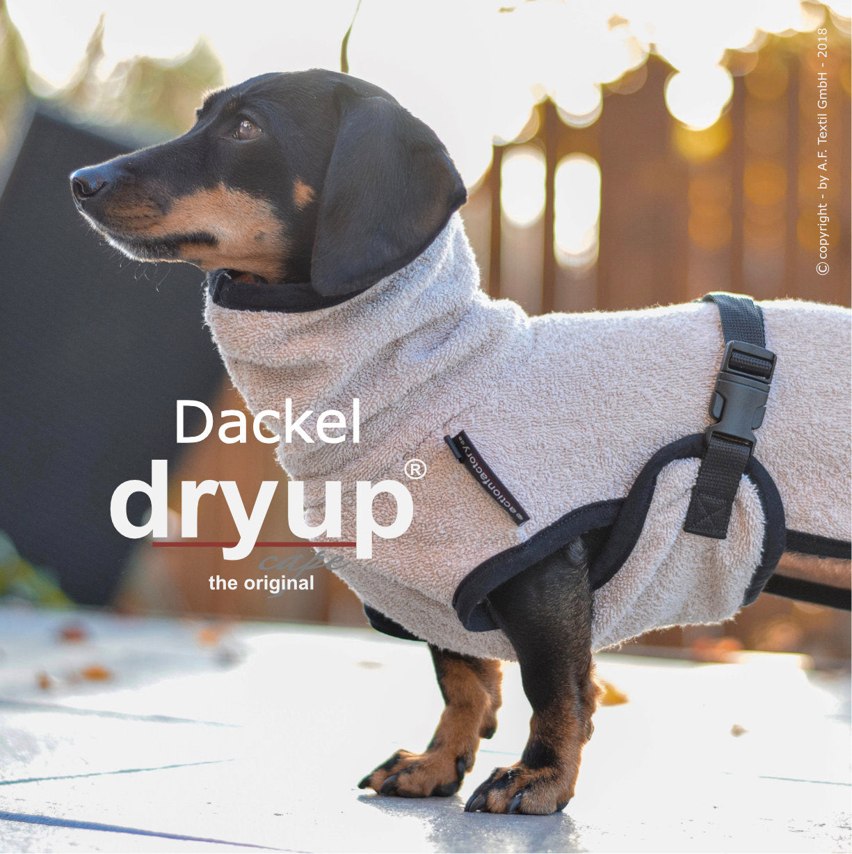 Dackel Dryup Cape sand