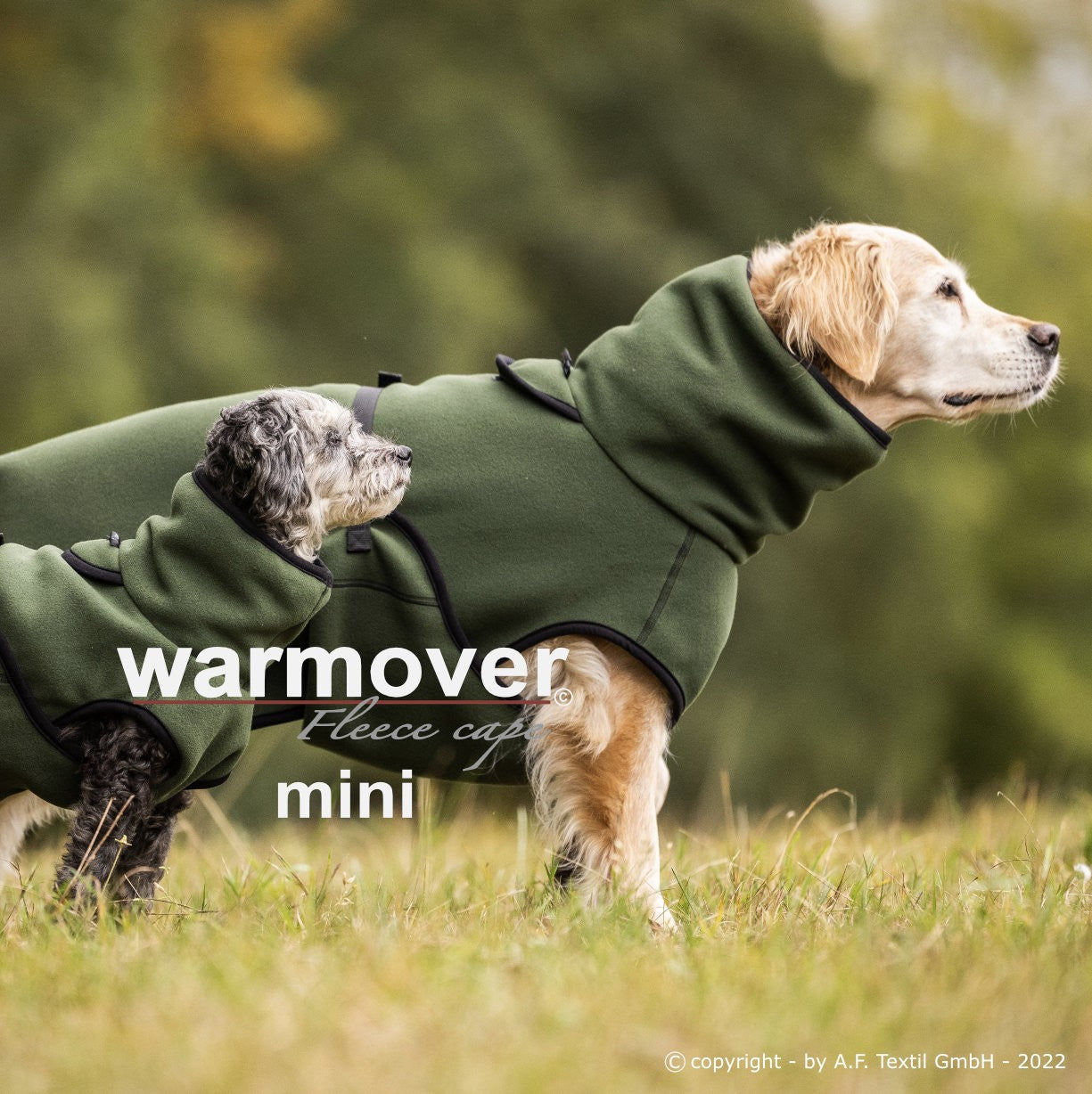 Warmover cape "Mini" pine green